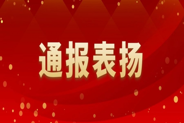 關于表揚2022年履職盡責優(yōu)秀個人的通報